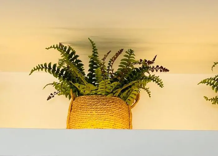 Mykonian Starling - Town N' Sunset View Apartment