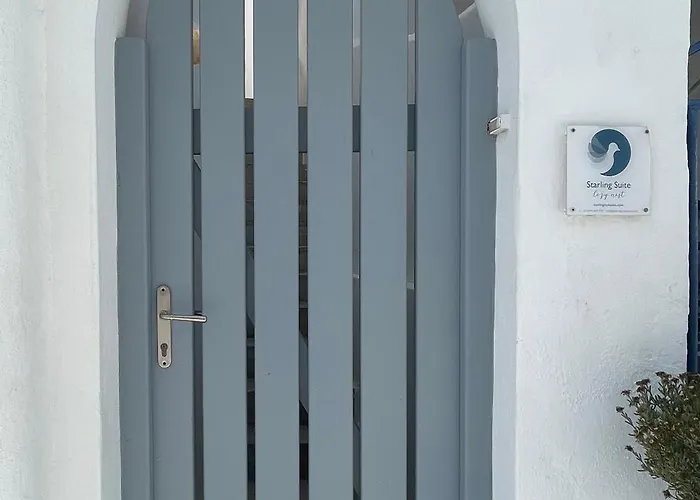 Mykonian Starling - Town N' Sunset View *