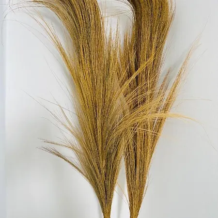 Mykonian Starling - Town N' Sunset View 아파트